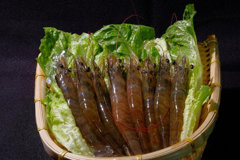 特級白蝦 特級 白蝦 蔬菜 虾