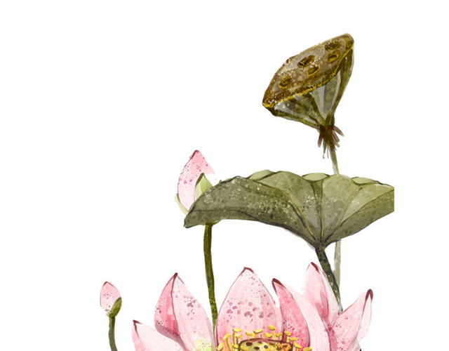 水墨莲花莲叶素材