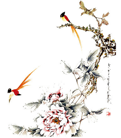 树枝花鸟素材