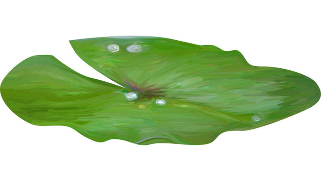 莲叶水珠植物素材