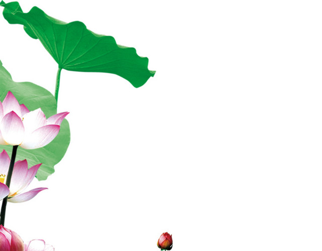 中国风莲花荷花PNG素材