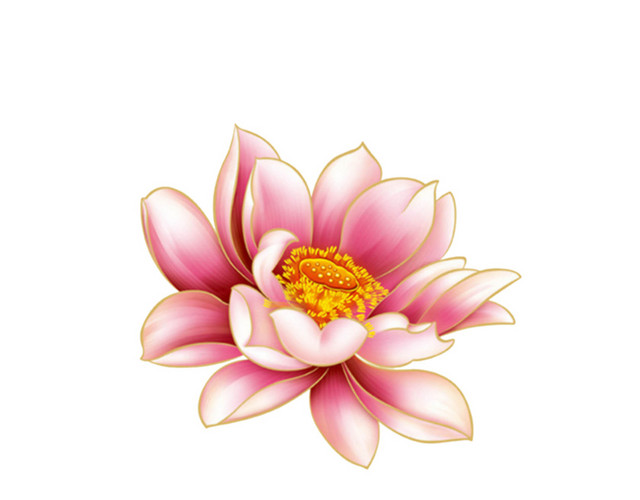 花朵植物花瓣素材
