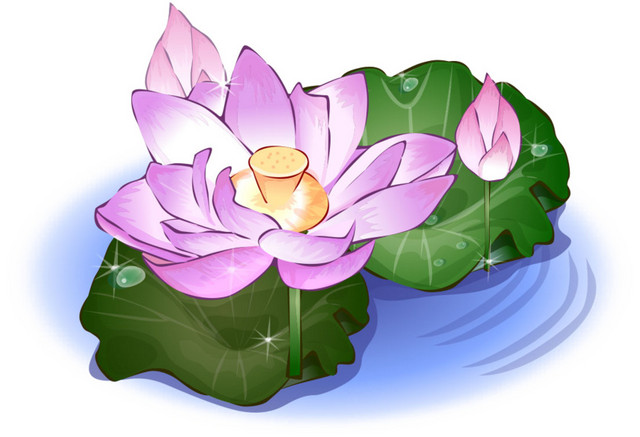 卡通手绘睡莲荷花素材
