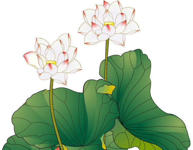 手绘荷叶莲花素材
