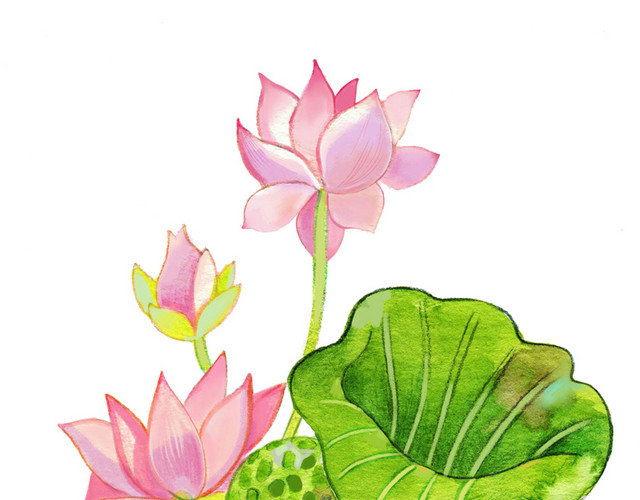 国画水彩荷花小鱼素材