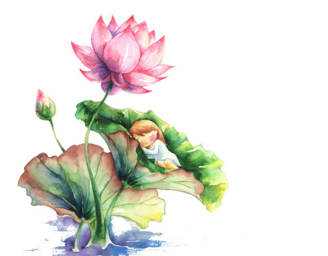 水彩莲花植物素材