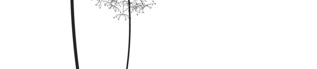 手绘矢量蒲公英