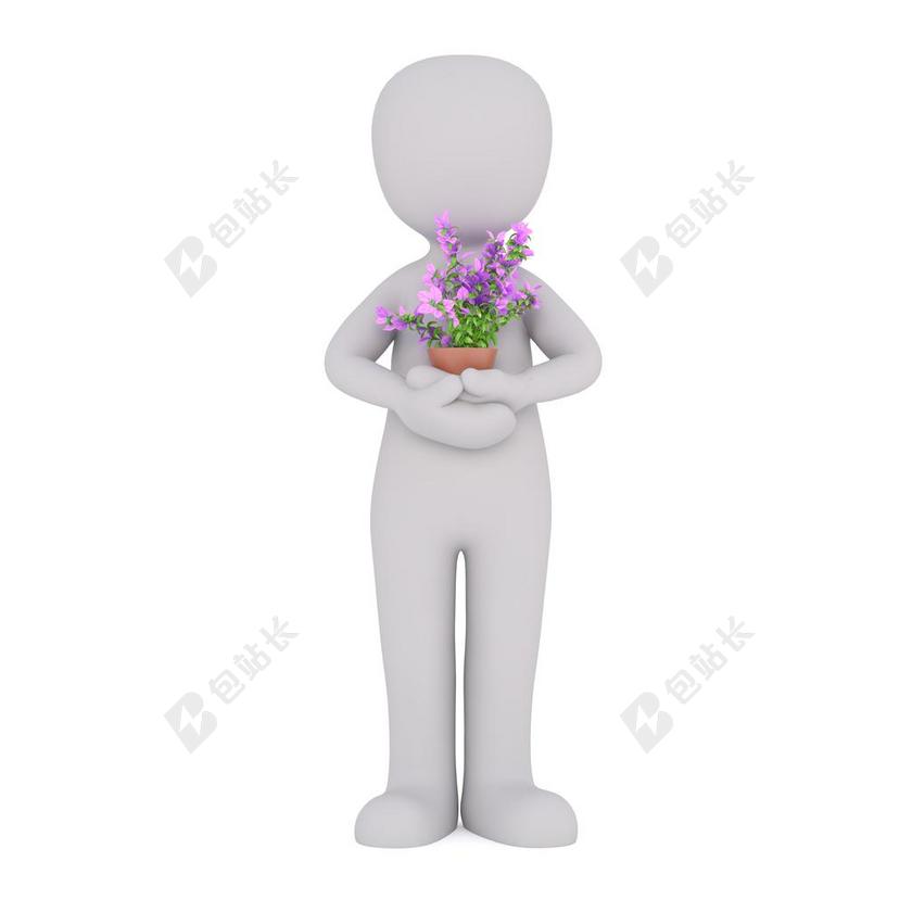 花园 园艺 园林工作 维护良好的花园 擦除 园丁 前院 盖特纳