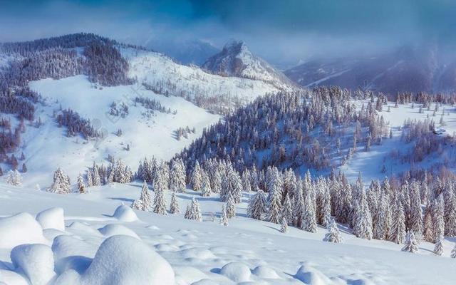 奥地利 山 谷 雪 冬天 森林 树 伍兹 景观 景区
