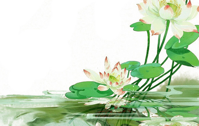 荷花