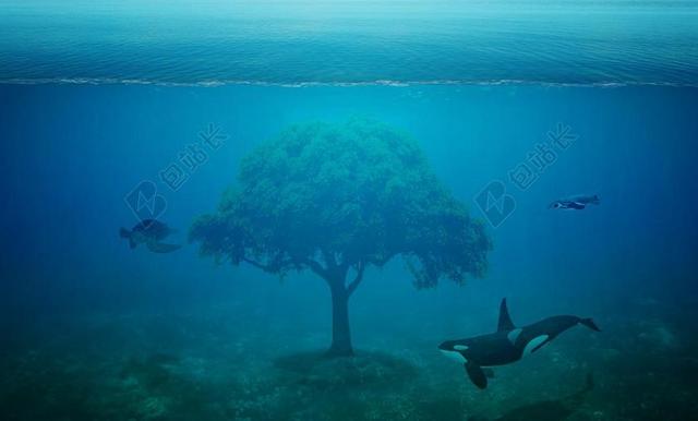 海洋 树 幻想 逆戟鲸 虎鲸 龟 海龟 企鹅 水 海