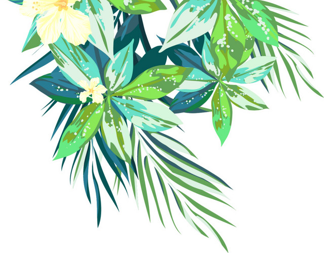 热带植物