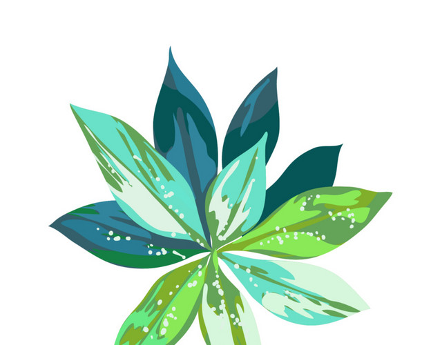 热带植物