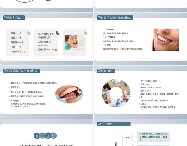 墨绿色商务口腔基本结构PPT模板