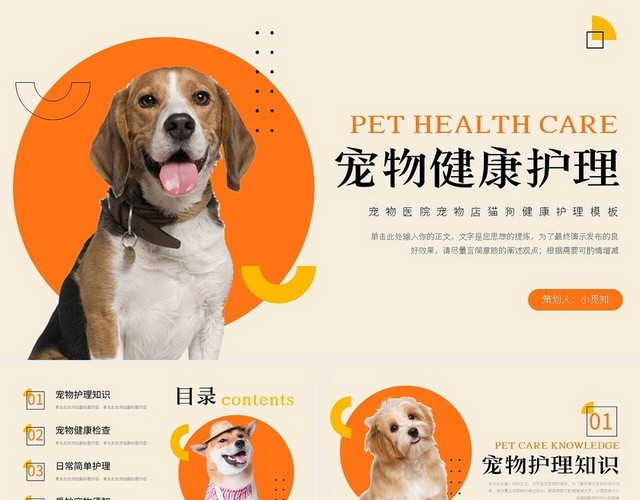 橙色简约宠物医院宠物店猫狗健康护理模板PPT模板