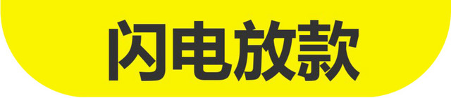 闪电放款应用软件图标