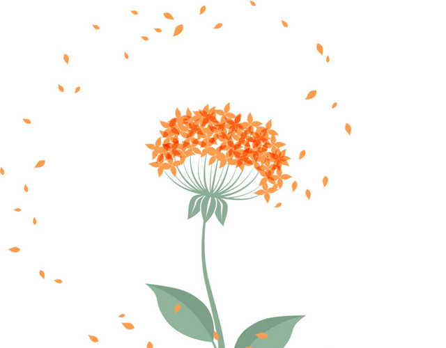 蒲公英花瓣矢量
