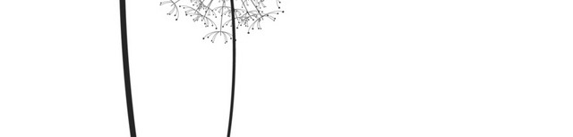 手绘蒲公英