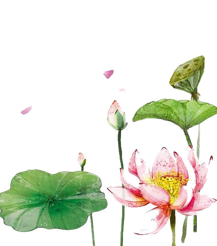 彩色墨画荷花荷叶素材