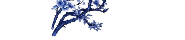 中国风菊花