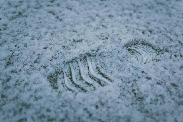 脚印 雪 冬天 冷 白 户外 人类 一步 脚步