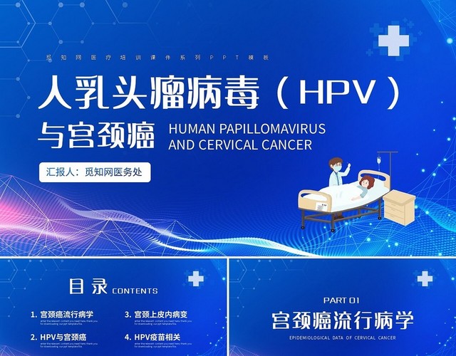 蓝色简约人乳头瘤病毒HPV与宫颈癌PPT模板