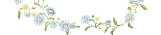 蓝色小碎花
