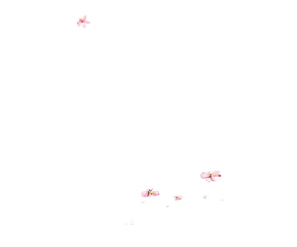 日系樱花背景素材图片