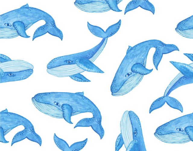 水彩鲸鱼平铺图案