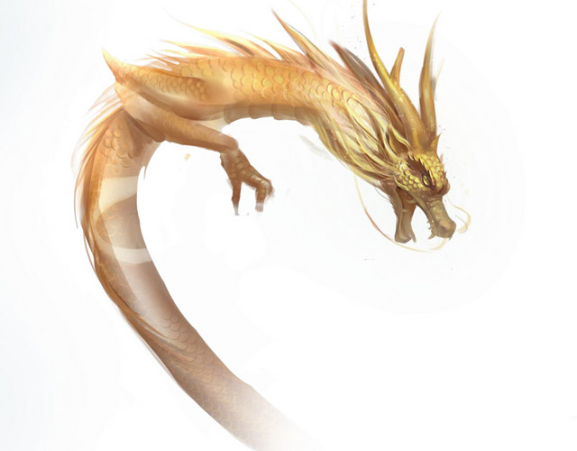 龙