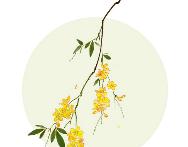 桂花