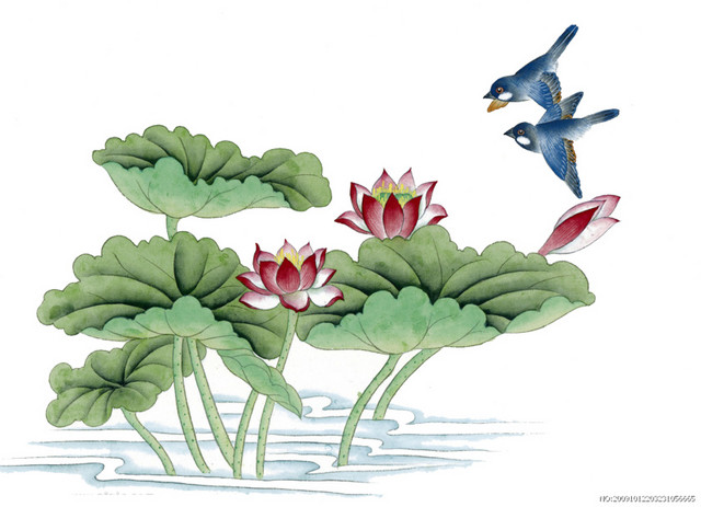 荷花池塘小鸟素材