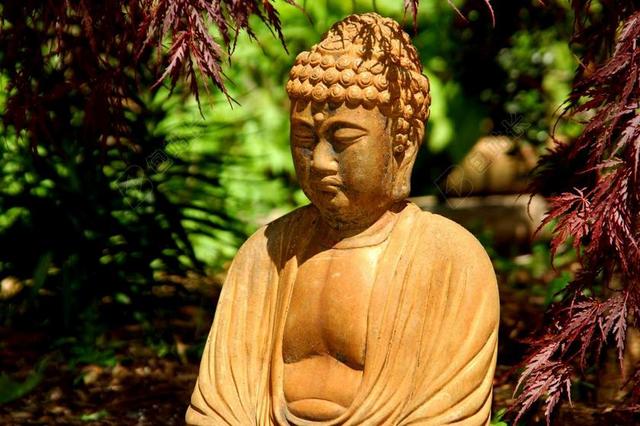 佛 花园 日本枫树 雕塑 冥想 禅宗 佛教 雕像 禅宗花园