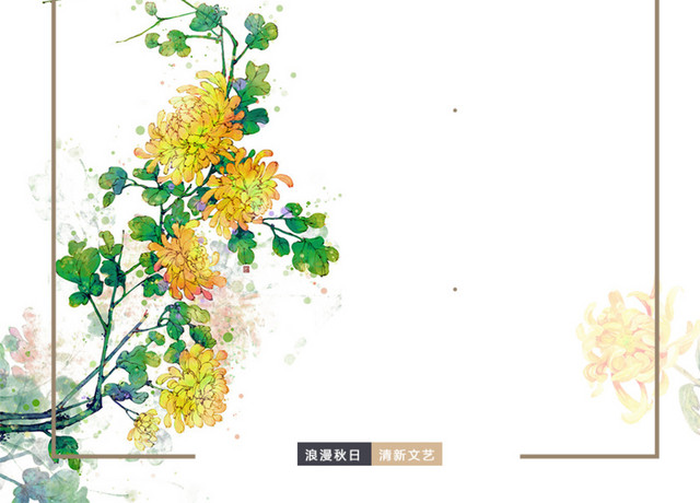 菊花边框