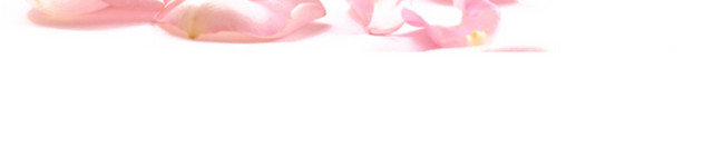 玫瑰花