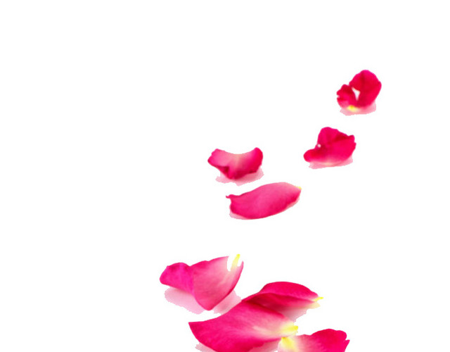 花瓣