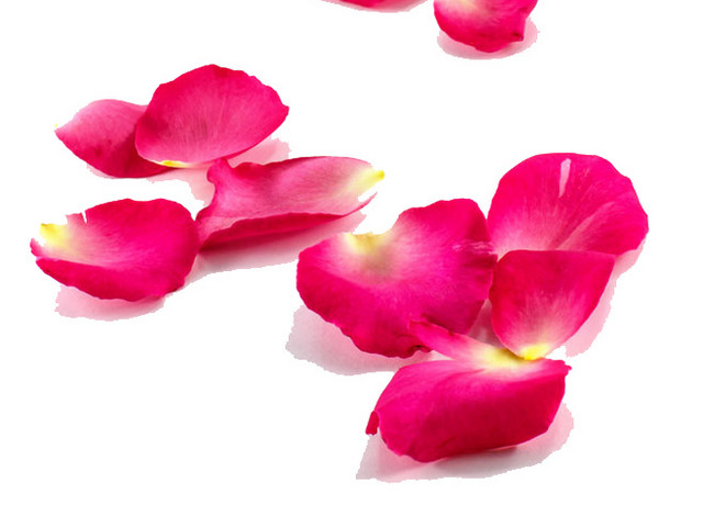 花瓣