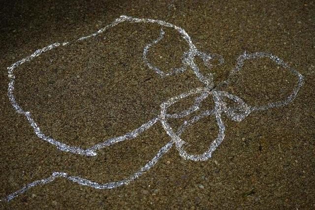 蜗牛 煤泥步道 闪亮 煤泥地毯 泥泞 分泌 蜗牛粘液 蜗牛线索