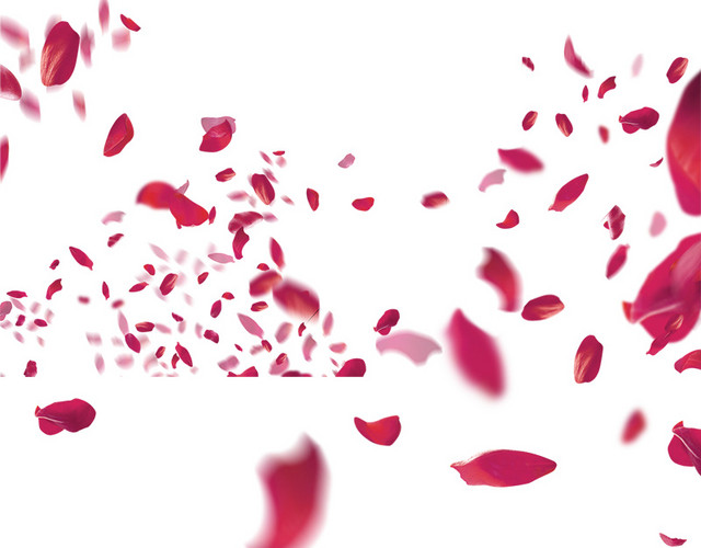 玫瑰花瓣