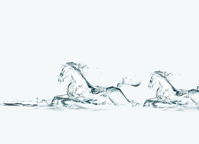 两匹马水图
