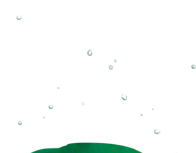 水珠荷叶
