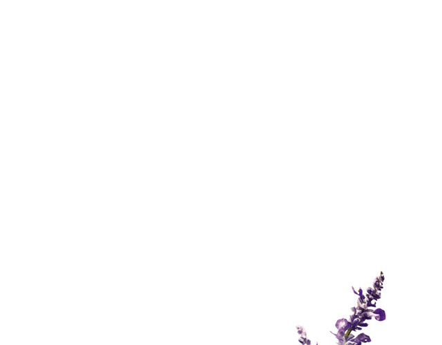 薰衣草水波