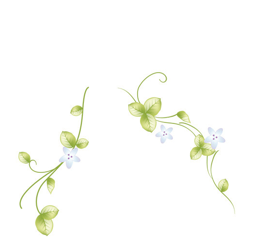 花卉边框