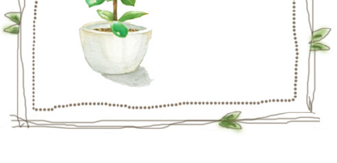 清新手绘绿植装饰边框