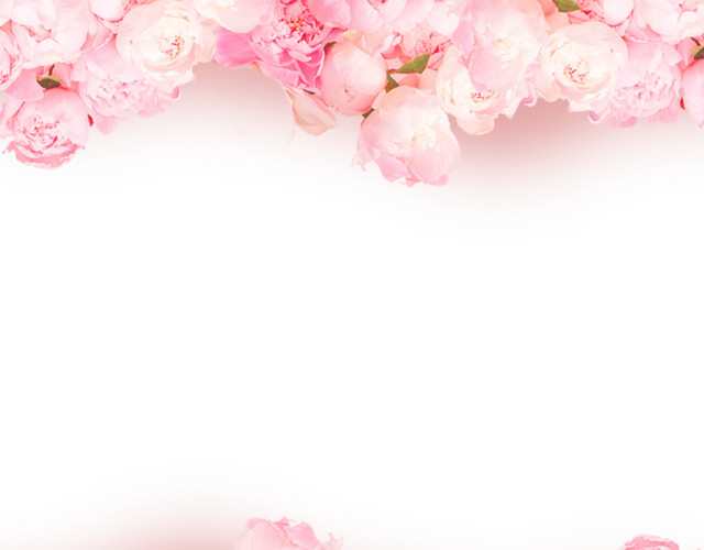 玫瑰花素材