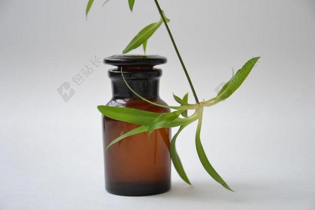 玻璃瓶化学玻璃器皿植物棕色背景图片