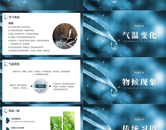 绿色简约风中国二十四节气寒露课件