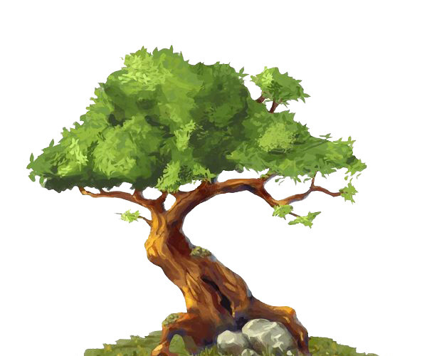 树根旁的石头