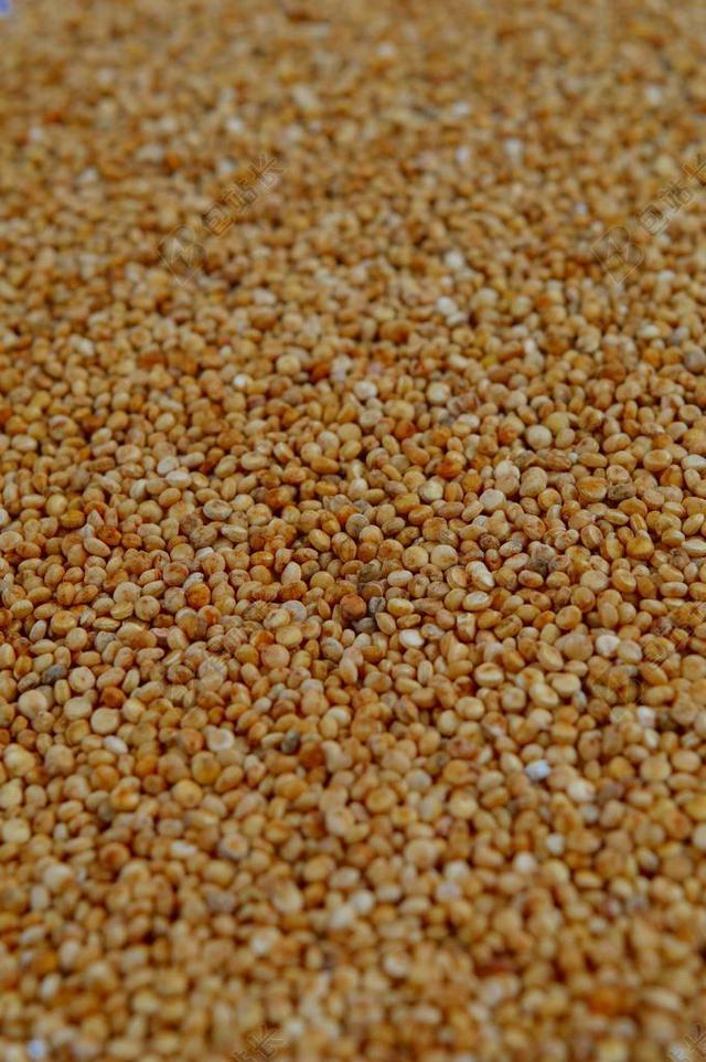 藜麦 很多 谷类 粮食 食品 成分 纤维 蛋白