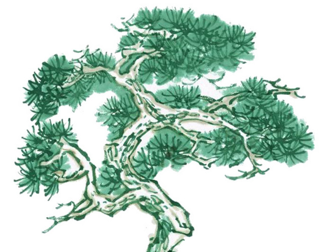 彩色国画松树
